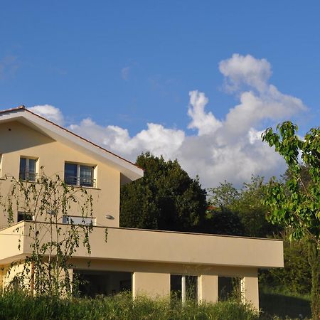 B&B Terra Del Sole Вальмонтоне Экстерьер фото