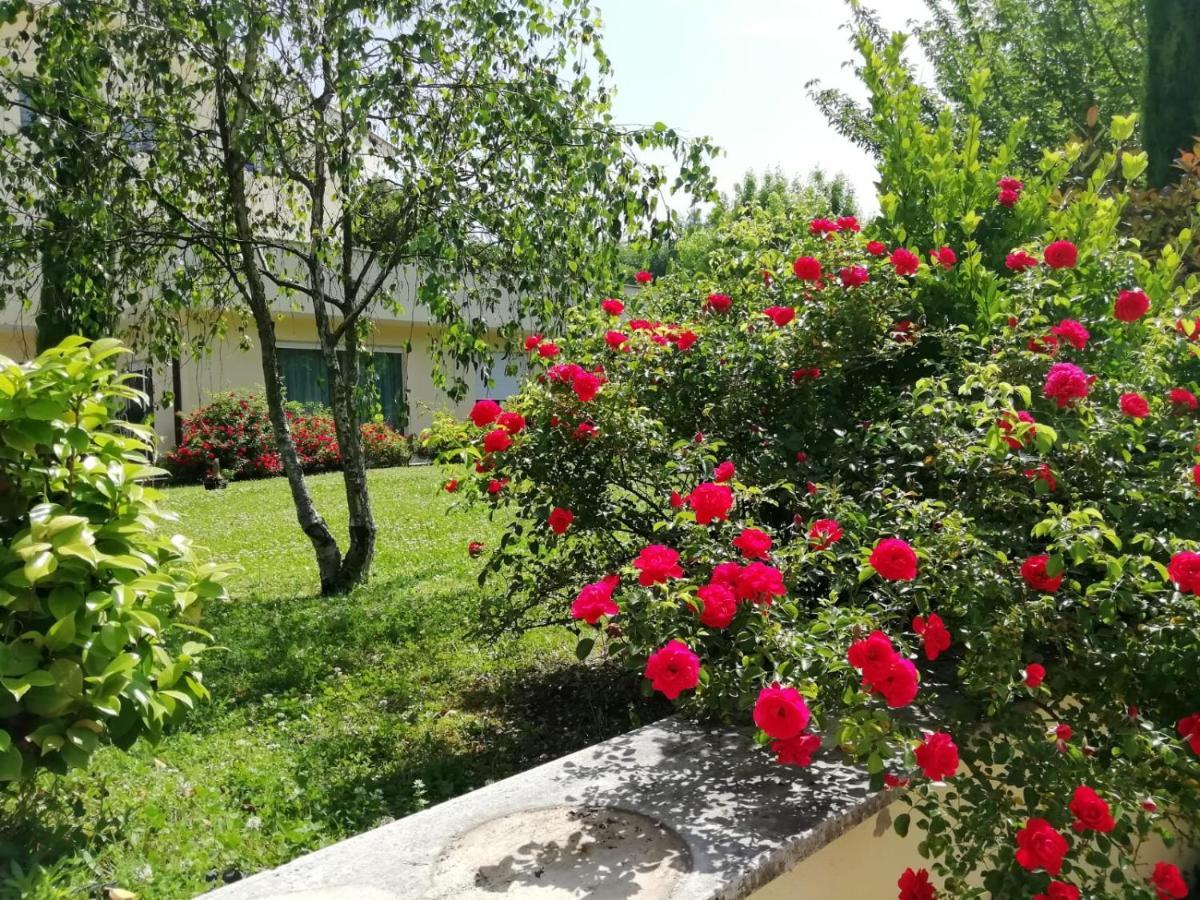 B&B Terra Del Sole Вальмонтоне Экстерьер фото